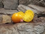 Miam Nipa Tomato Seeds