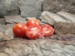 Micek's Yugoslovian Tomato