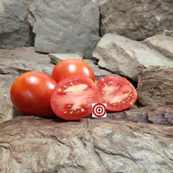 Micek's Yugoslovian Tomato