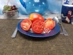 Micek's Yugoslovian Tomato Rare Tomatoes