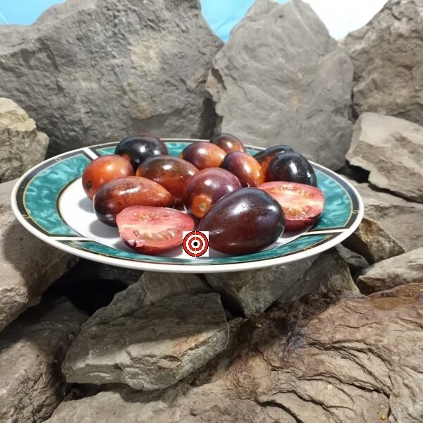 Midnight Roma Tomato