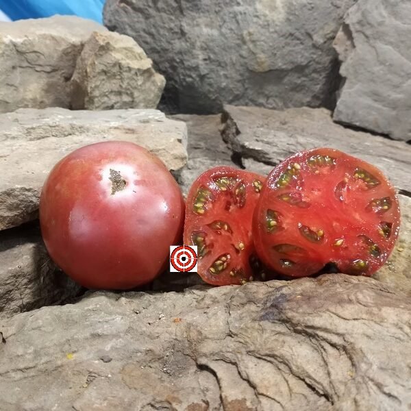 Midnight in Moscow Tomato