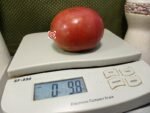 Midnight in Moscow Tomato Large Black Tomatoes