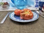 Midnight in Moscow Tomato Rare Tomatoes