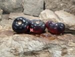 Mlle Foriers Tomato Blue Tomatoes