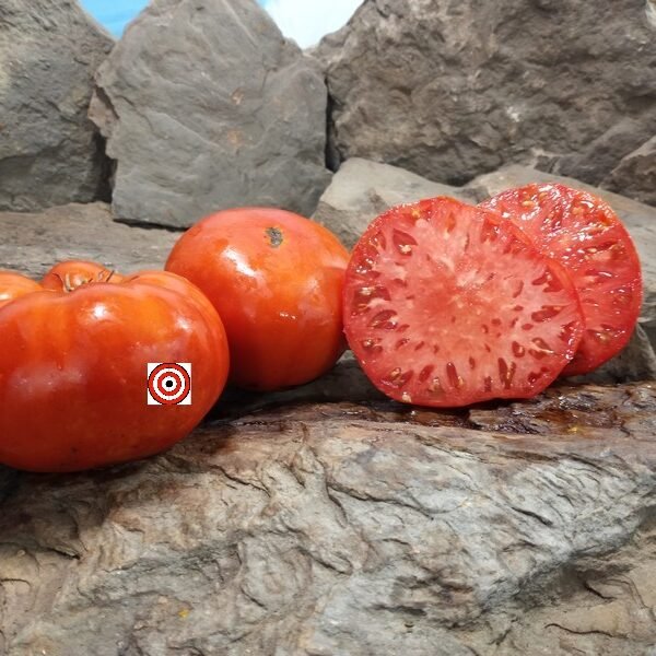 Mortgage Lifter Red and White Tomato