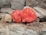 Mr Underwoods Pink Tomato Slicing Tomatoes