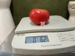 Nazareth College Tomato Red Beefsteak Tomatoes