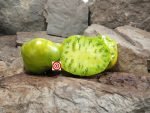 Ohio River Huge Green Tomato