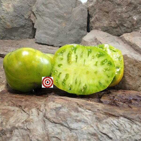 Ohio River Huge Green Tomato