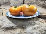 Old Kuttowa Tomato - Image 4