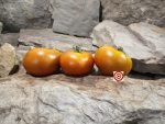 Old Kuttowa Tomato - Image 5