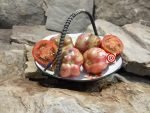 Orion's Belt Micro Dwarf Tomato