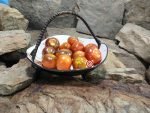 Panther Cherry Tomato Seeds