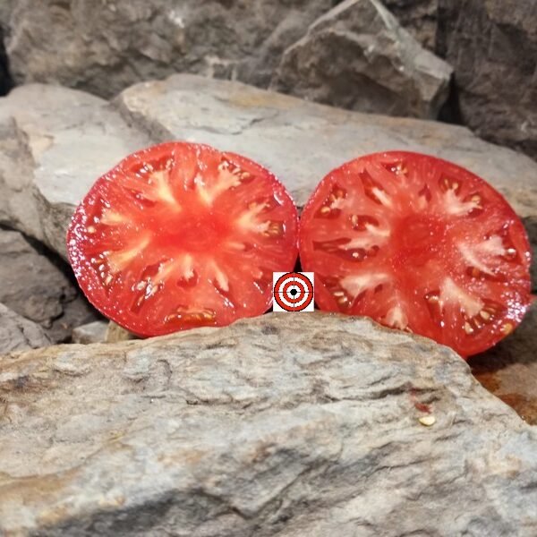 Perry Family Tomato