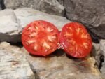 Perry Family Tomato Red Tomatoes