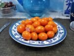 Piennolo Aranico Tomato - Image 6
