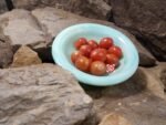 Pink Champagne Tomato Cherry Tomatoes.
