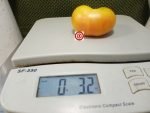 Pisgah Church Staple Tomato Rare Tomatoes