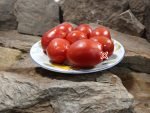 Plum Heart of Italy Tomato