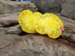 Ponderosa Sunrise Tomato Seeds