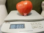 Poor Free Man Tomato Large Oxheart Tomatoes