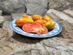 Prairie Fire Tomato Elongated Tomatoes