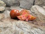 Prime Rib Tomato