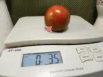 Prime Rib Tomato Rare Tomatoes