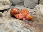 Prime Rib Tomato Seeds