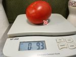 Red Cotton Tomato Large Red Tomatoes