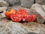 Red Cotton Tomato Seeds
