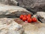 Red Dragon (F2) Tomato - Image 2