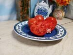 Red Heart Dwarf Tomato