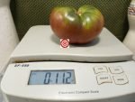 Ridge Runner Tomato Large Black Tomatoes