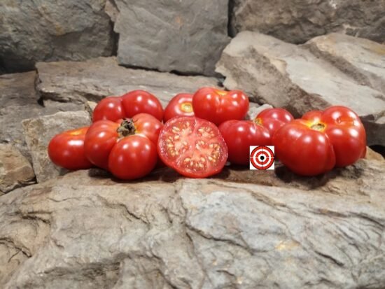 Roaring Springs Park Tomato