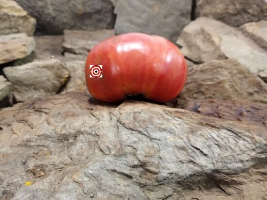 Rosado De La Sierra Aracena Tomato