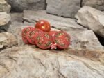 Shadynook True Round Tomato Rare Tomatoes