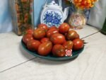 Shiny Greek Red Tomato Canning Tomatoes
