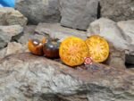 Sofiya's Golden Apple Tomato Seeds