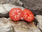 Stab Farmboy Tomato Heirloom Tomatoes