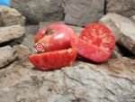 Stab Farmboy Tomato Rare Tomatoes