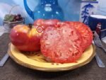 Stafford Red Heirloom Tomato Seeds
