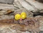 Starinska Zuta Yellow Tomato - Image 3