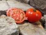 Summer Flavor F2 Tomato - Image 4