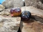 Sun Queen Tomato Blue Tomatoes