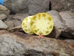 Sun Queen Tomato Seeds