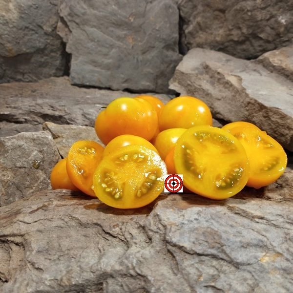 Sweet Satsuma Dwarf Tomato
