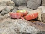Taps Black Tomato Seeds