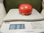 Taps Tomato - Image 2
